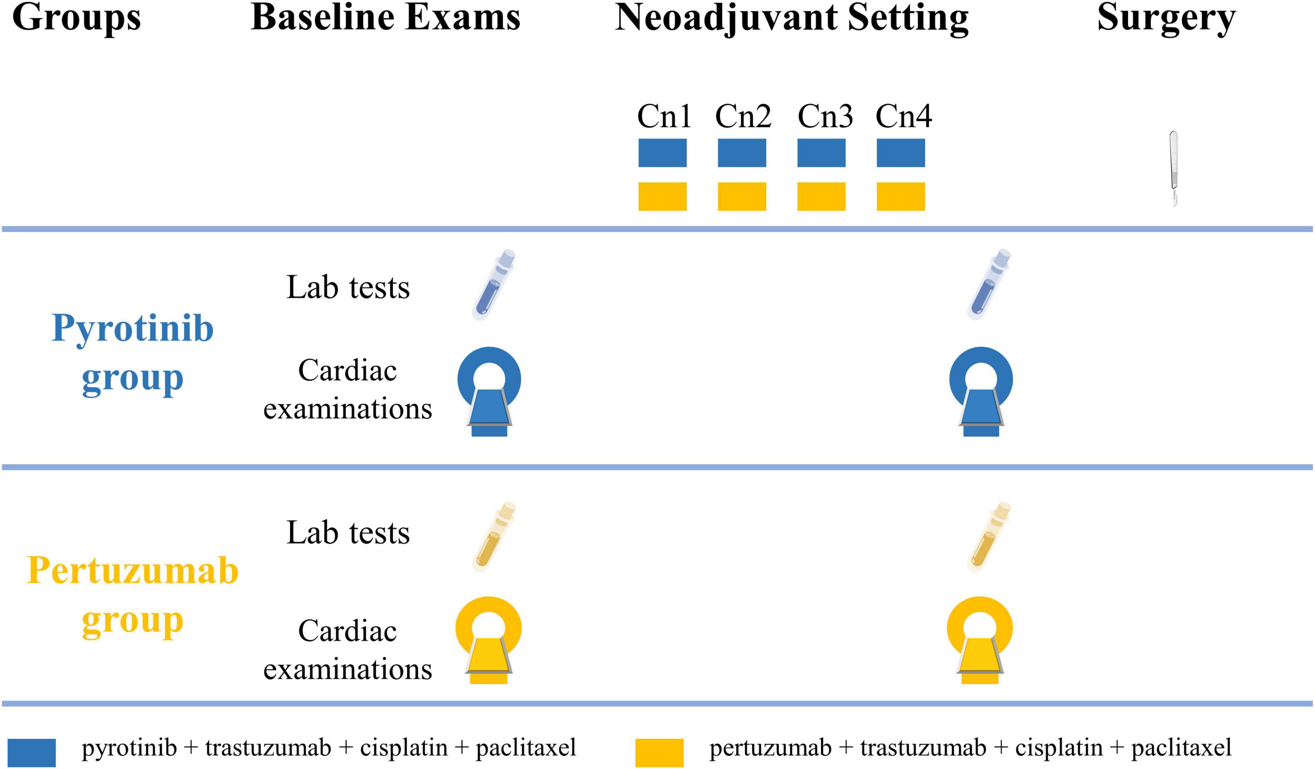 Protocol for pyrotinib cardiac safety in patients with HER2-positive early or locally advanced breast cancer–The EARLY-MYO-BC study